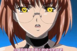A5818 特务搜查官-丽/风子[全系列作品合集][正传+外传+游戏+CG][4G/全CV]