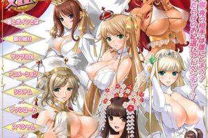 A6240 [姬肉無雙]公主和欧派！姫とボイン[存档+全动态CG][3G]