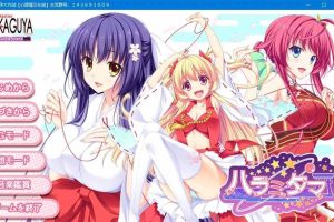 A5148 怀孕大作战[汉化硬盘版]