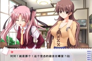 护士学习入门篇~简单易懂的基础护理技术 AI汉化版+全回想[新汉化/1.2G]