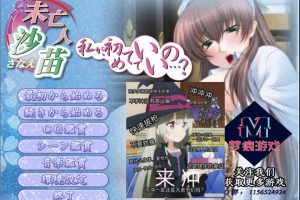 A6680 未亡人沙苗[PC+安卓模拟][云汉化版+CG包][2.6G]