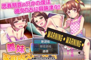 義妹義母家庭内的跟踪狂 V1.0 AI汉化版[PC+安卓][新汉化/600M]