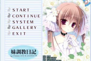 A1101 【汉化】【硬盘】妹调教日记√happy end & another