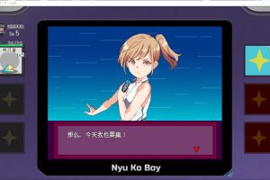 H版宝可梦：我的迷之规则！ 官中整合版+最新DLC+存档[12月更新/3.5G]