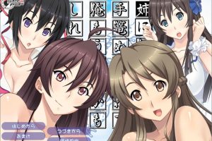 姐姐，今年夏天 AI汉化版+全CG回想★全CV[新汉化/1.5G]