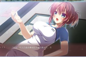 【汉化硬盘版】少女与野兽 【6.48G】
