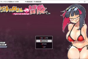 莉吉妮塔的冒险 Ver1.4 官中联动版+联动漫画动画[2月新作/1G]