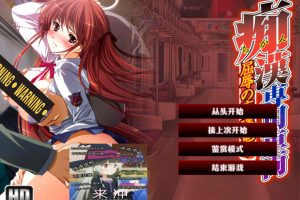 痴H专用车辆 HD AI汉化版+全CG回想★全CV[新汉化/3.8G]