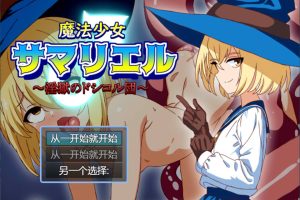 魔法少女大人瑞尔 云翻汉化版+全CG包[6月新作/1.2G]