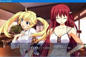 AY1449[灰色的果实][汉化硬盘版]