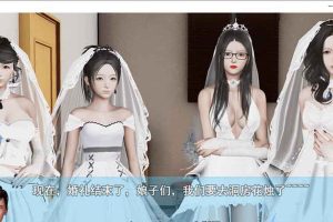 A5829 袭梦都市 V1.00[中文完结作弊版+全回想][更新/PC+安卓][3.3G]