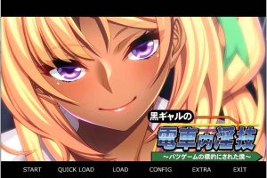 A6463 黑辣妹的电车淫技~淫乱的惩罚游戏！[汉化+CG包][新汉化/PC+安卓][500M]