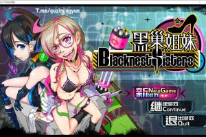 国人制作 ：黑巢姐妹 官方中文版+全CG包[12月新作/2.1G]