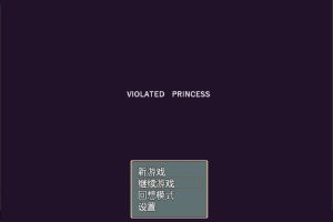 Violated Princess Ver1.05.3 官方中文版+全回想存档[6月更新/1G]