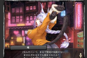 [对魔忍] 全系列网游：エロ事件离线汉化破解版[10月更新/19G]